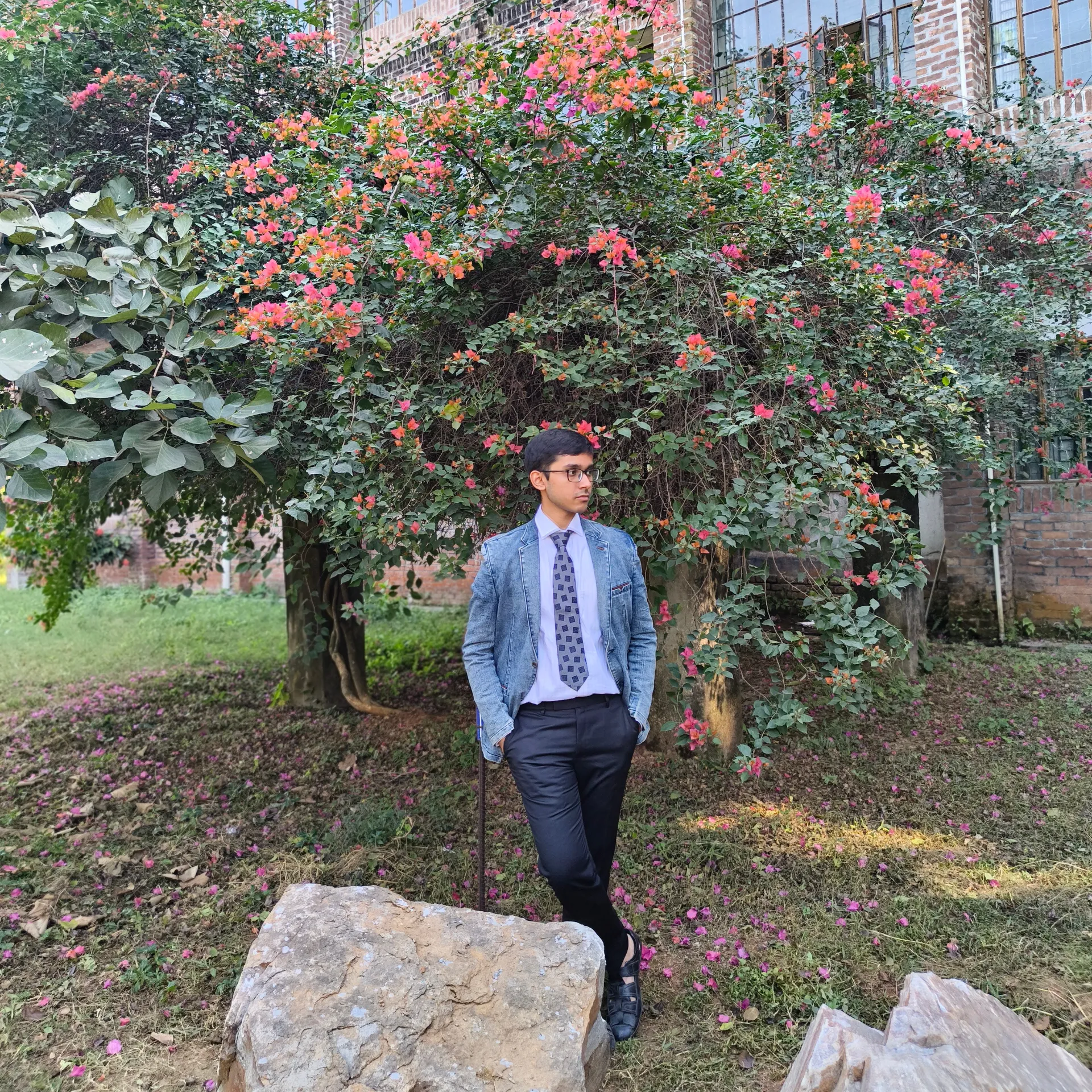 Anindya Saha