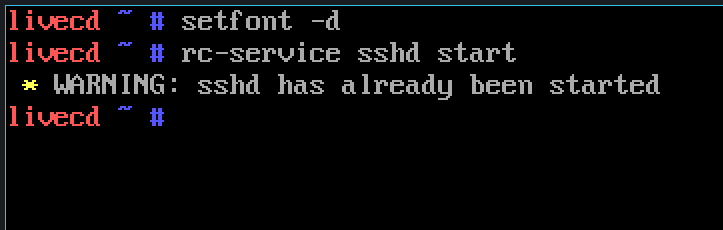 Staring sshd from the VM.