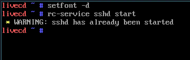 Staring sshd from the VM.